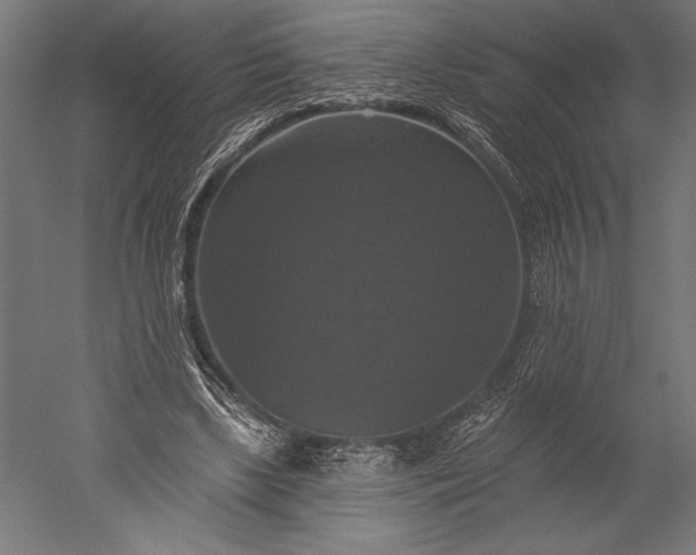 X0000051260443200507011723