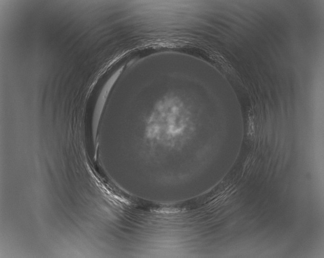 X0000051260444200507011723