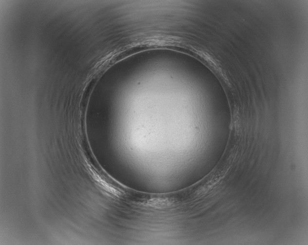 X0000051260445200507011723