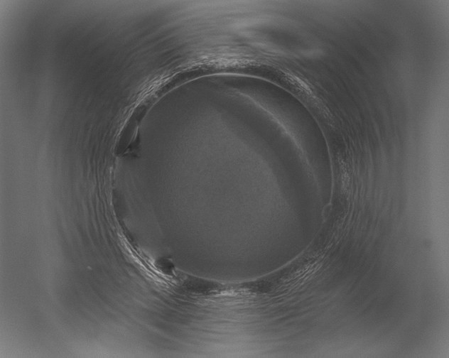 X0000051260447200507011723