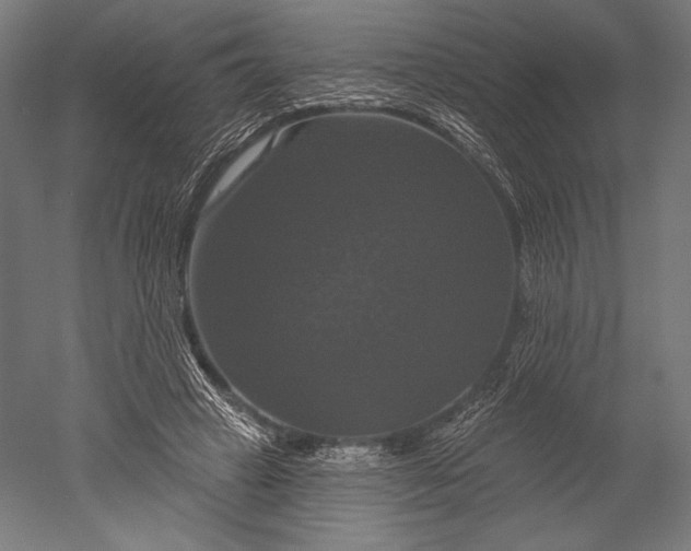 X0000051260449200507011723
