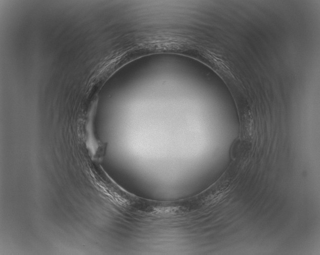X0000051260450200507011723