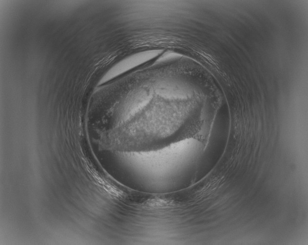 X0000051260453200507011723