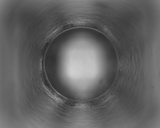 X0000051260454200507011723
