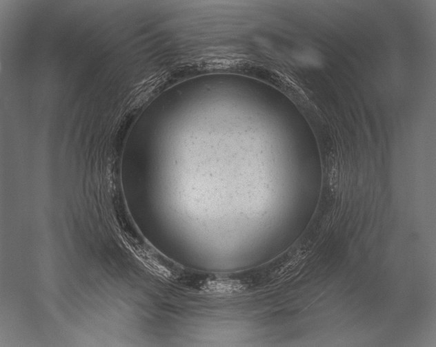 X0000051260455200507011723