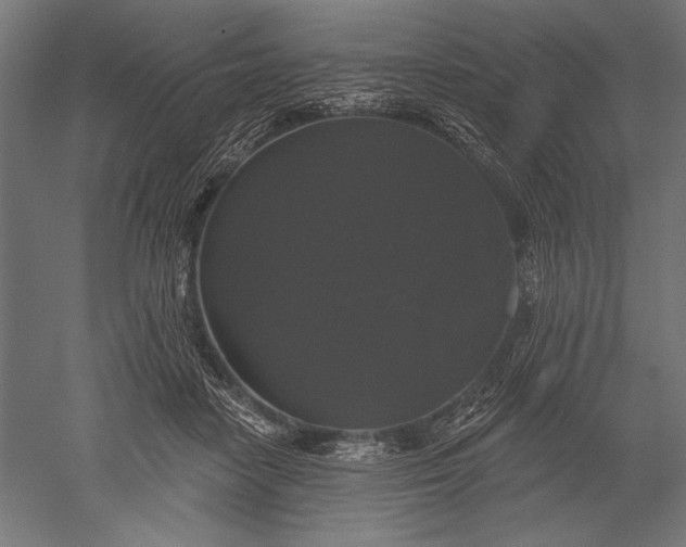 X0000051260458200507011723