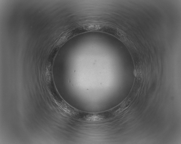 X0000051260460200507011723