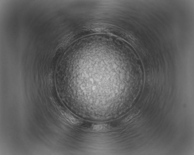 X0000051260461200507011723