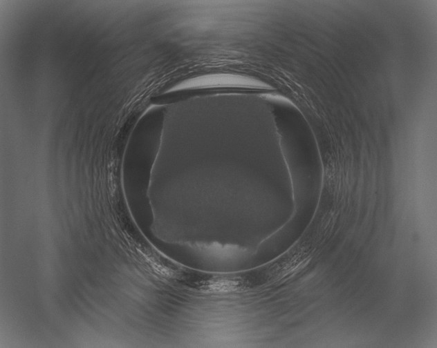 X0000051260462200507011723