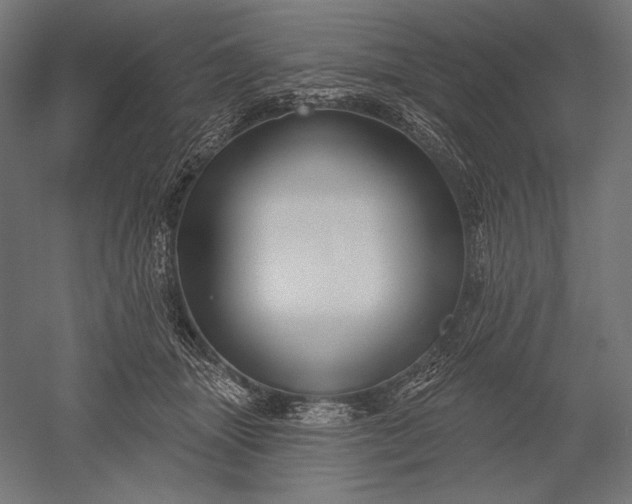 X0000051260463200507011723