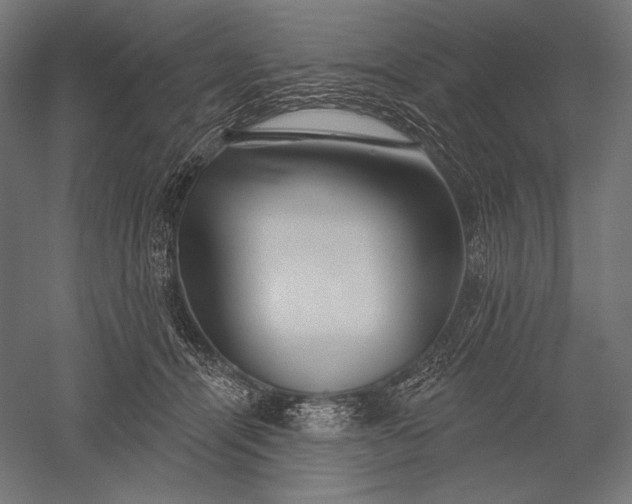 X0000051260464200507011723