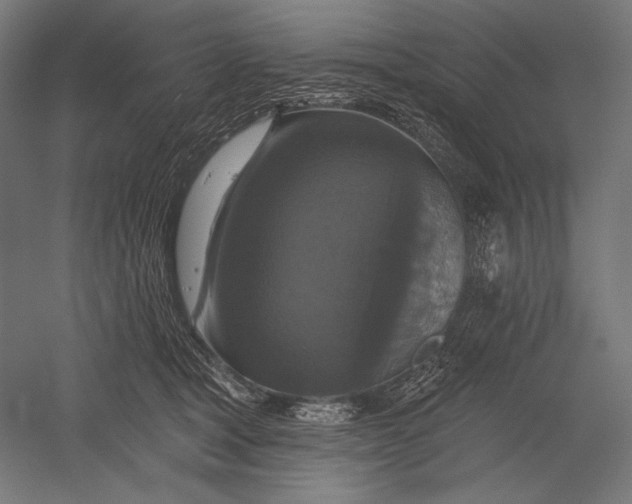 X0000051260465200507011723