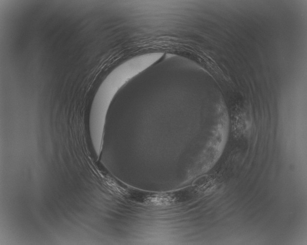 X0000051260466200507011723