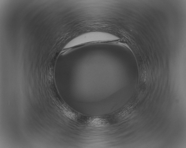 X0000051260467200507011723