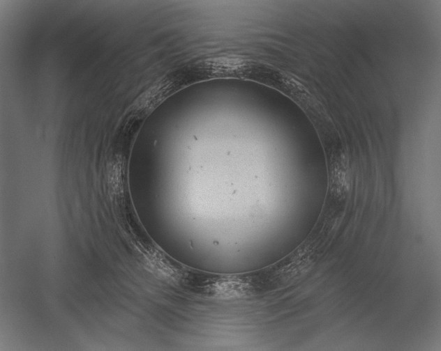 X0000051260468200507011723