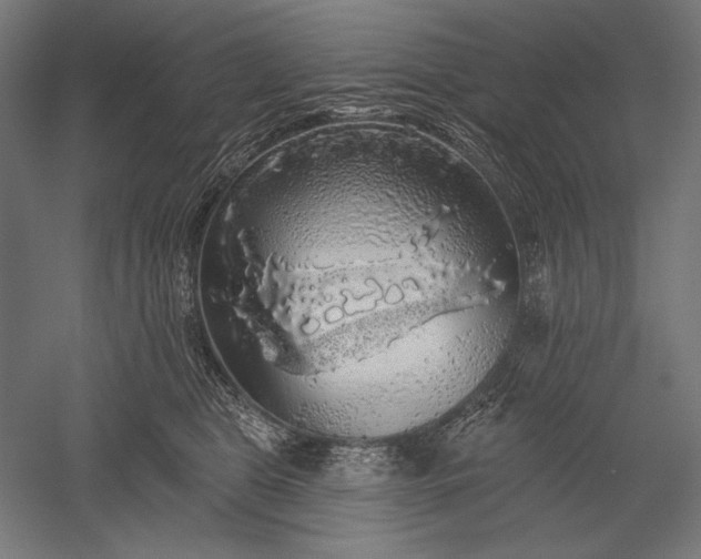 X0000051260469200507011723
