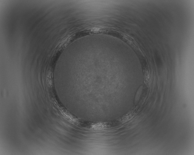 X0000051260470200507011723
