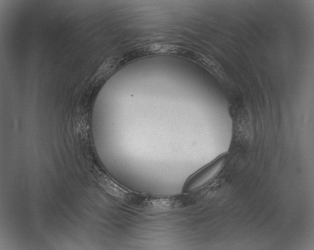 X0000051260473200507011723