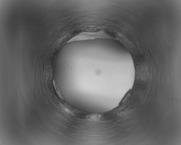 X0000051260474200507011723