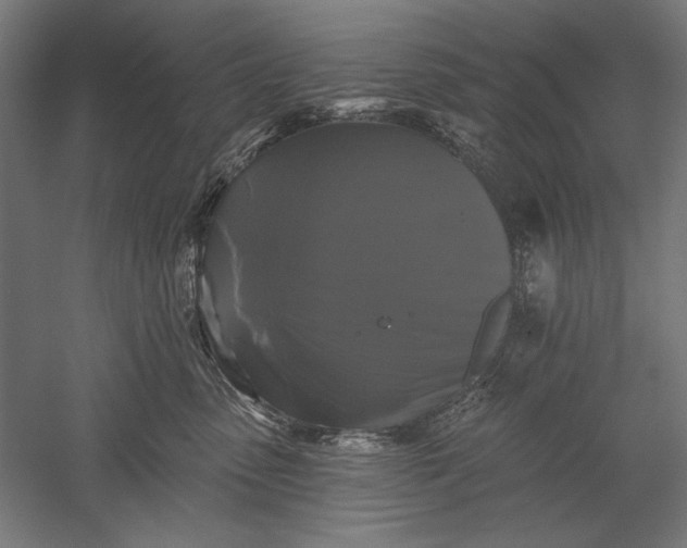 X0000051260475200507011723