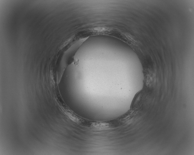 X0000051260476200507011723