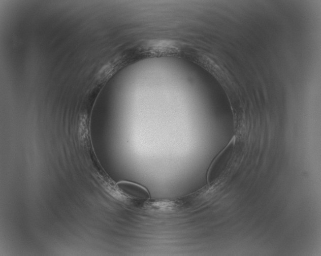 X0000051260478200507011723