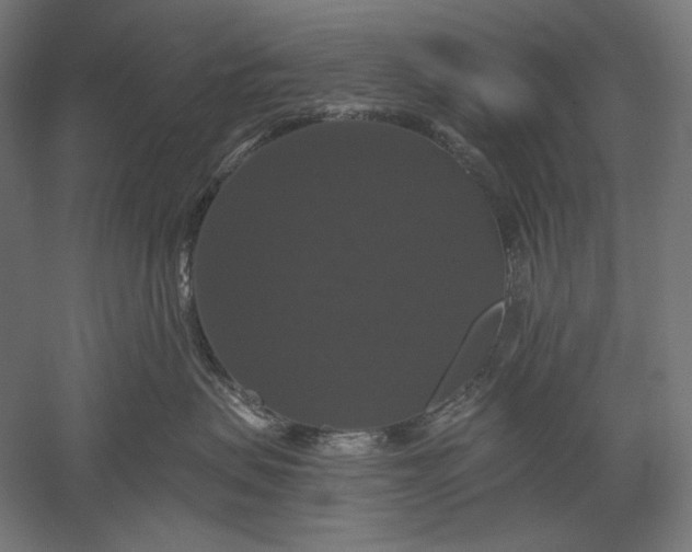 X0000051260479200507011723