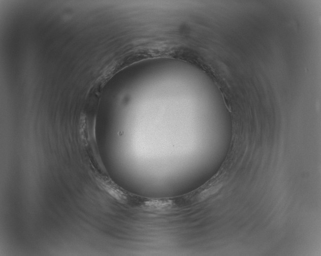 X0000051260480200507011723