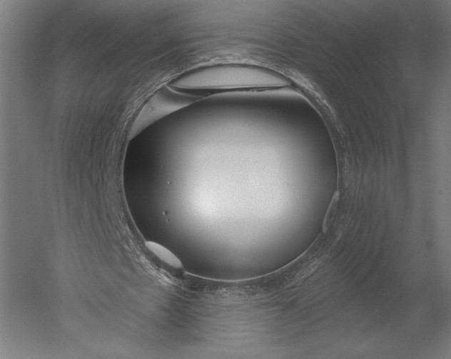 X0000051260481200507011722