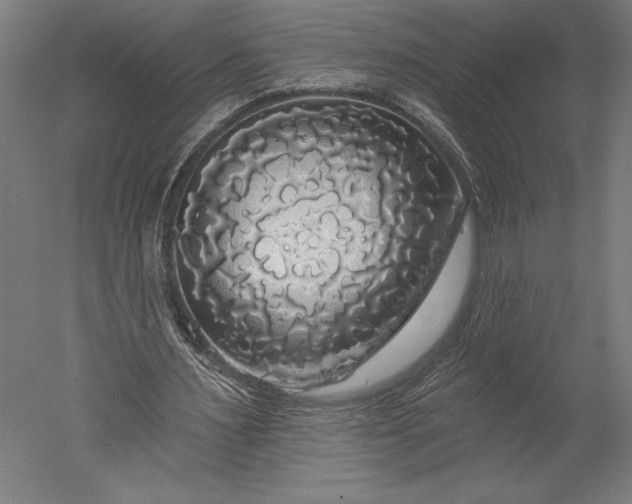 X0000051260483200507011722