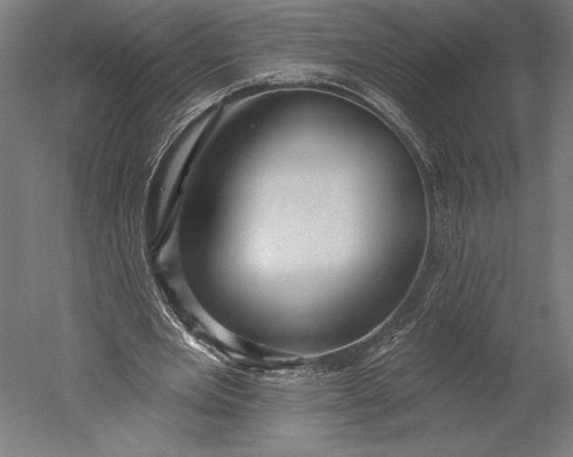 X0000051260485200507011722