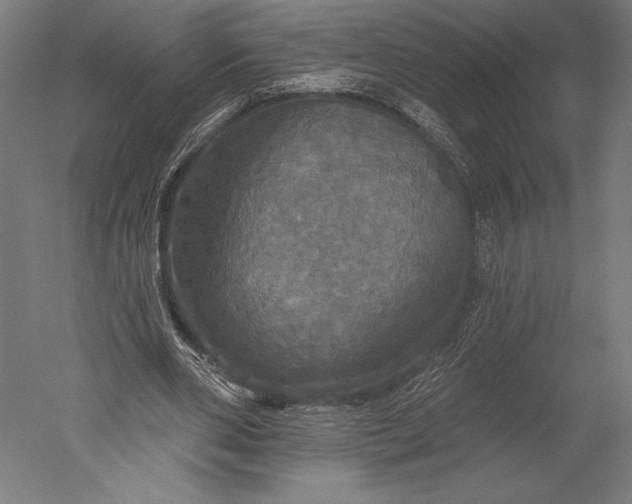 X0000051260486200507011722