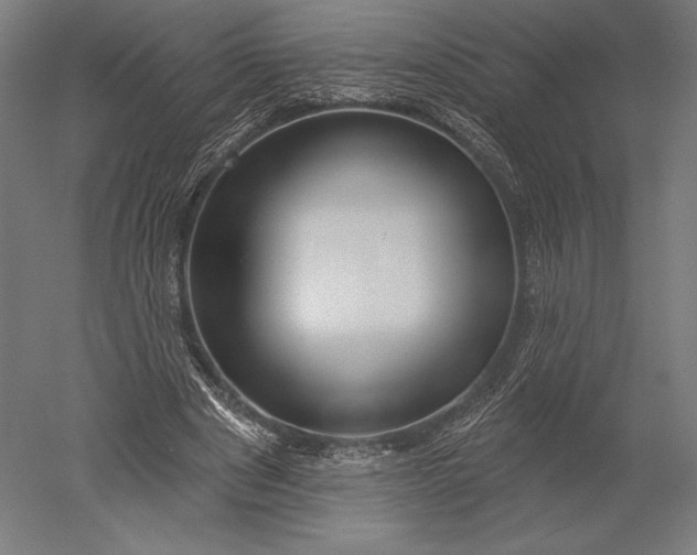 X0000051260489200507011722