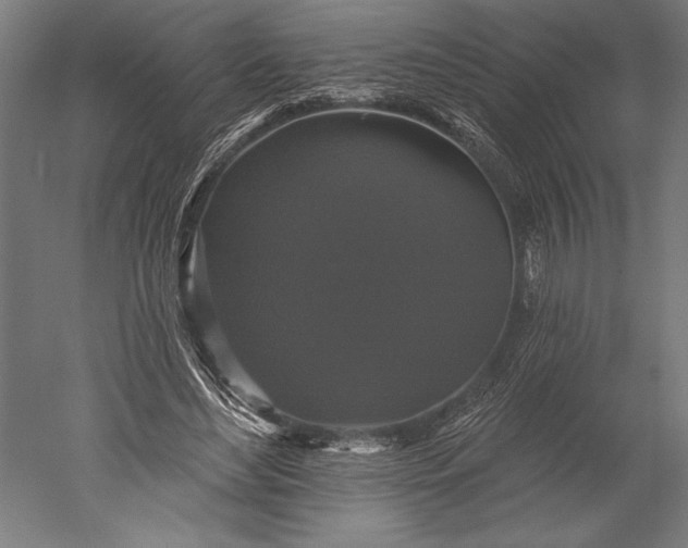 X0000051260492200507011722