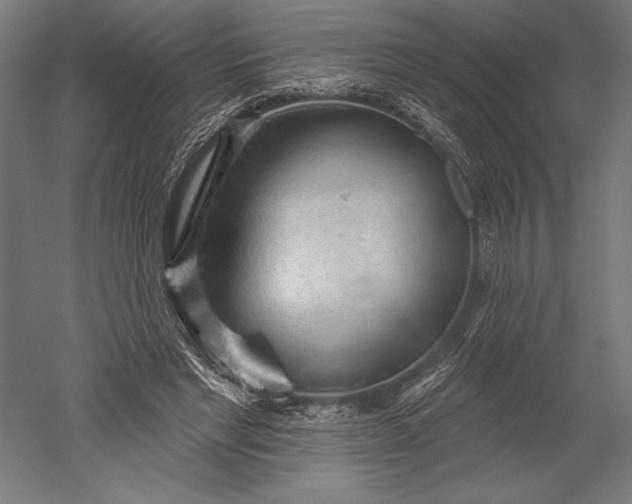 X0000051260493200507011722