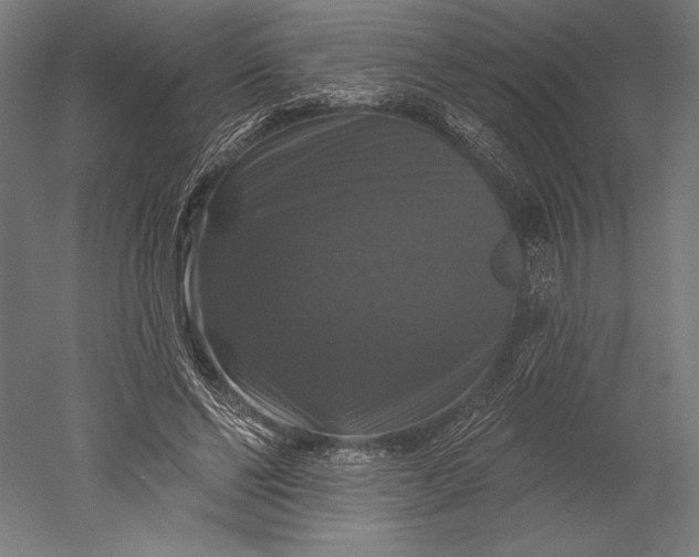 X0000051260494200507011722