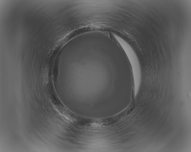 X0000051260496200507011722
