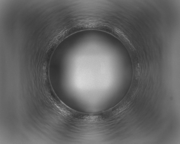 X0000051260497200507011722