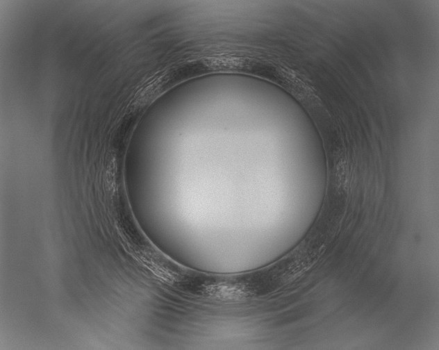 X0000051260498200507011722