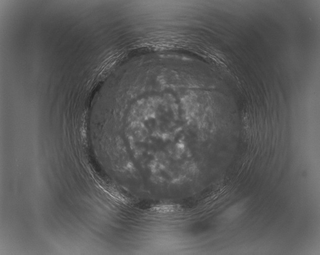 X0000051260499200507011722
