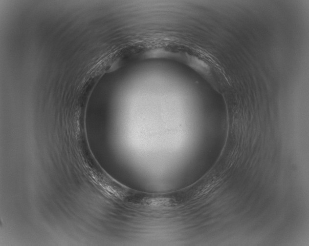 X0000051260501200507011722