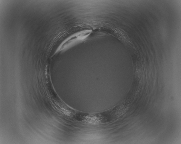 X0000051260502200507011722