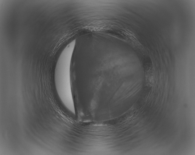 X0000051260503200507011722