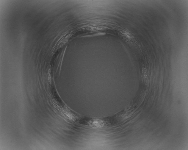 X0000051260506200507011722