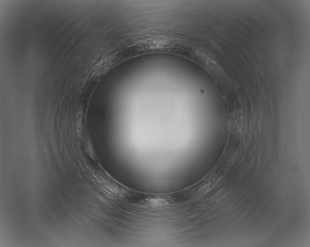 X0000051260509200507011722