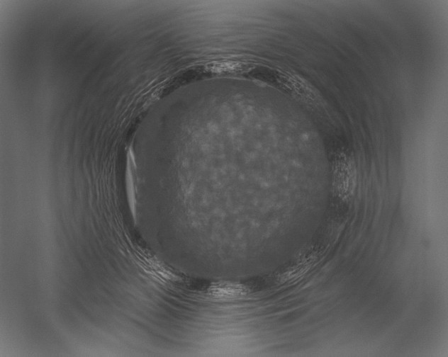 X0000051260510200507011722
