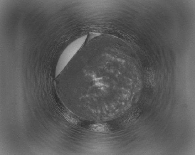 X0000051260511200507011722