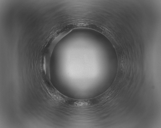 X0000051260512200507011722