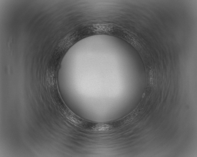 X0000051260514200507011722