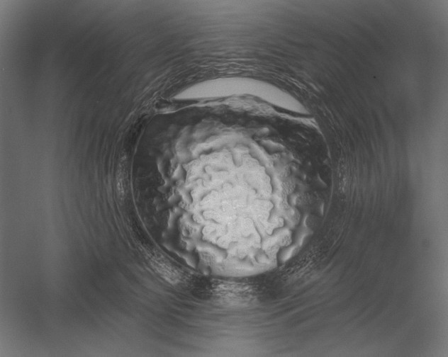 X0000051260515200507011722